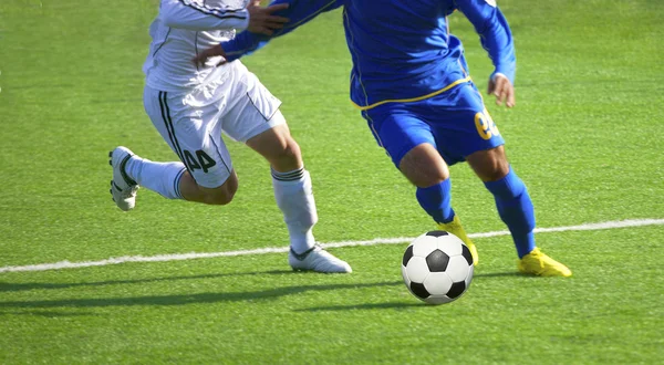 mùa giải Bundesliga 2024/2025