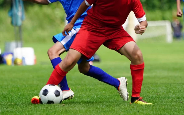 Việt Nam vs Thái Lan nữ 2025: Cuộc đối đầu nảy lửa tại Giải U19 Đông Nam Á